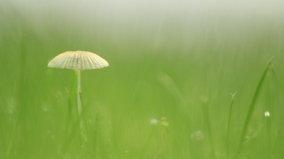 一篇关于送伞的作文600字3