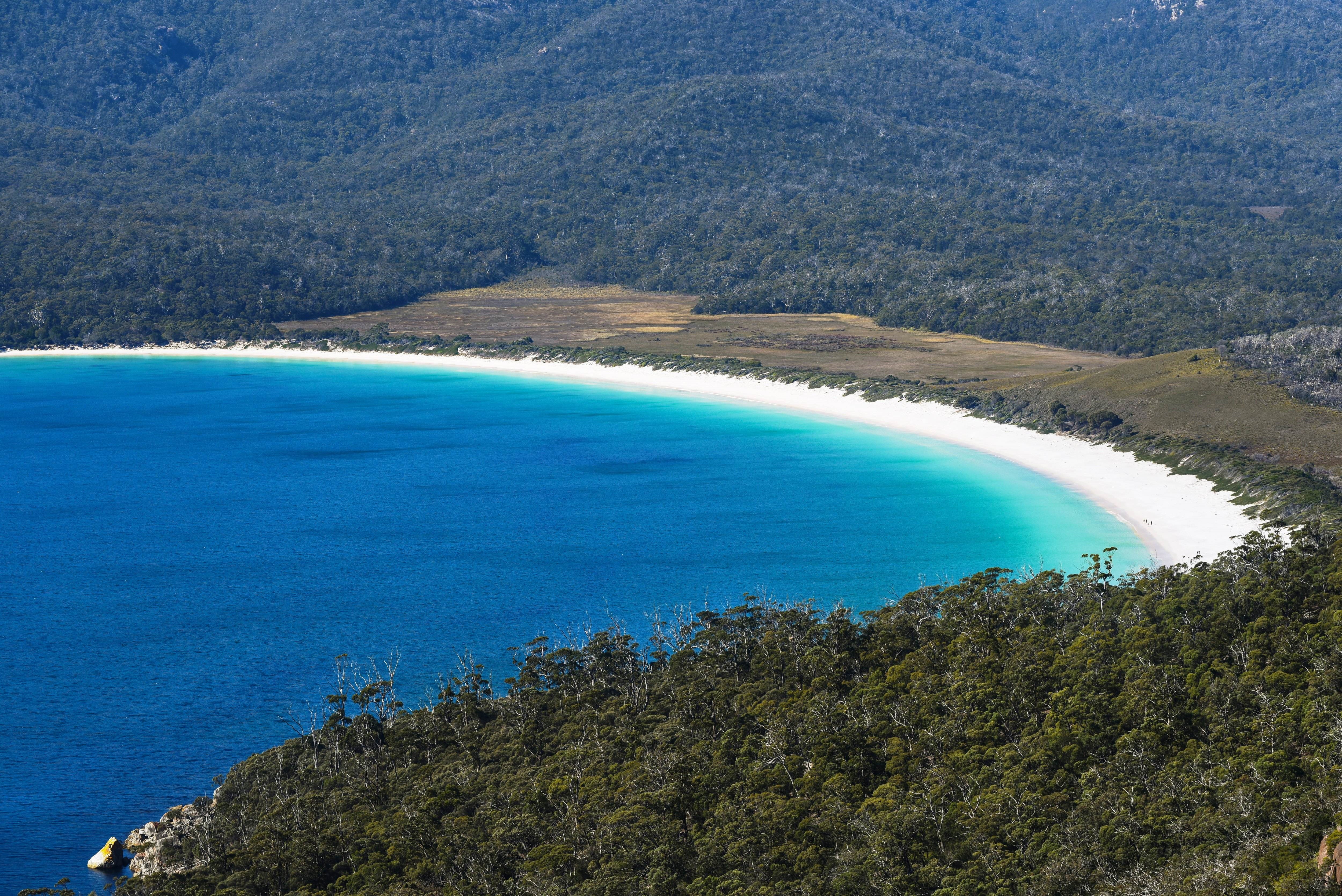 澳洲塔斯马尼亚岛的西部,为什么发育着世界最完整的温带雨林?