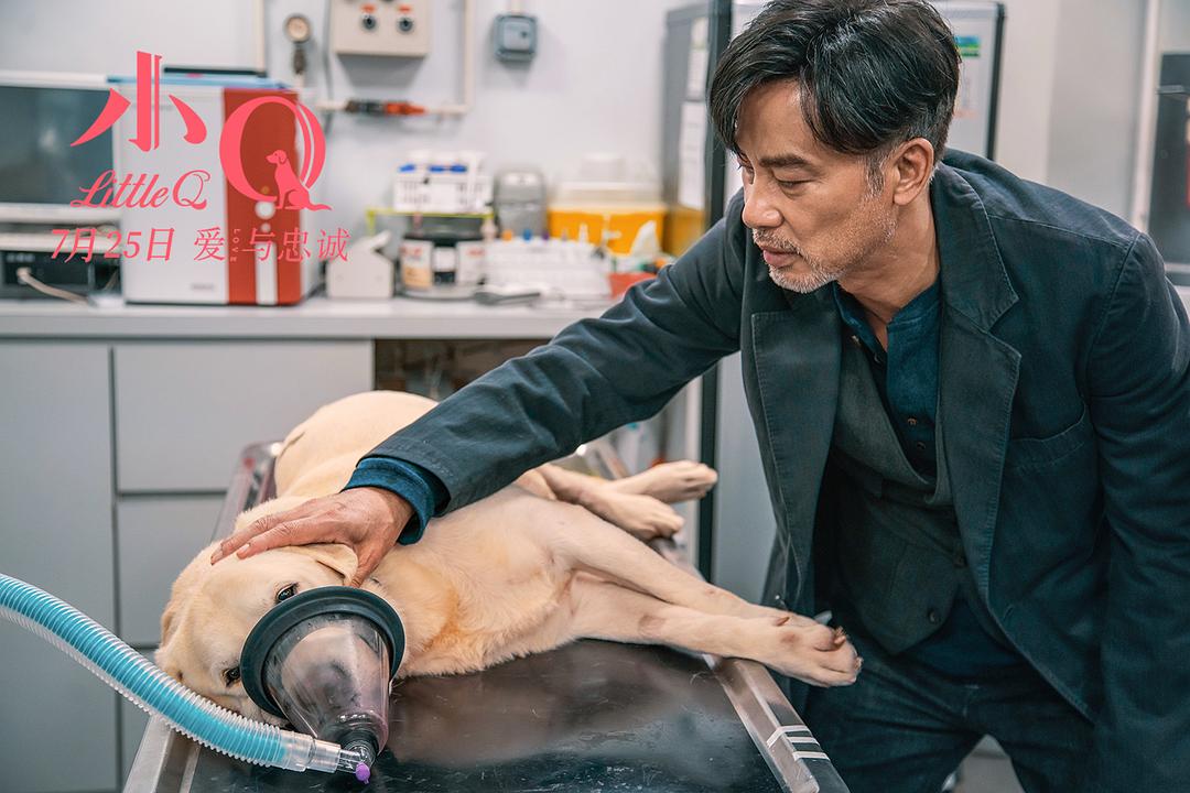 日本导盲犬的电影喜剧(任达华拿出影帝级演技的这部电影，不止是催泪那么简单)