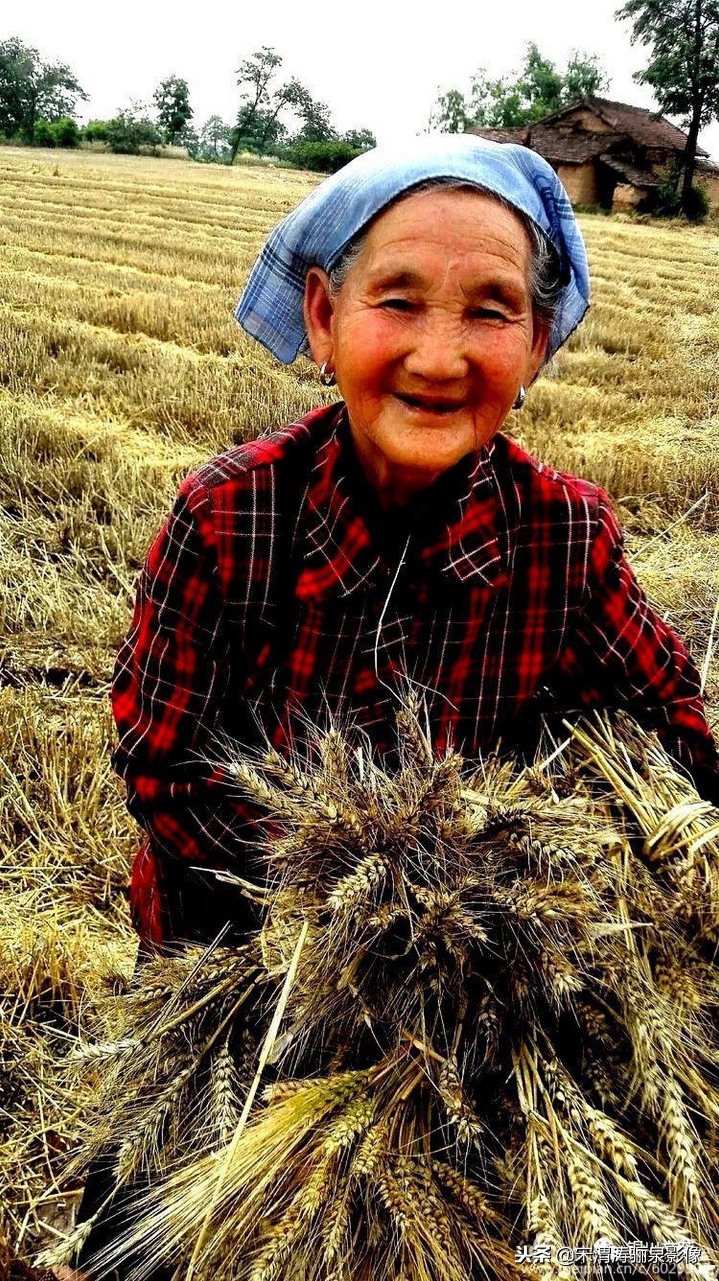 近40年来,因我至小就生活在农村,对农村农民的感情很深,经过我38年来