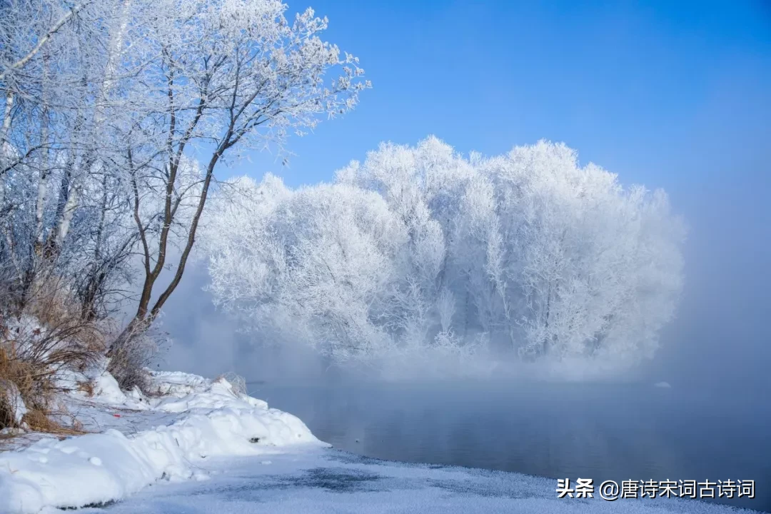 诗词 | 待到寒冬腊月尽，又是一年好春时