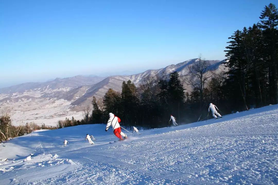 杭州滑雪哪里好(过年滑雪去！杭州周边滑雪场盘点，十大冰雪世界，最快0.5h到达)