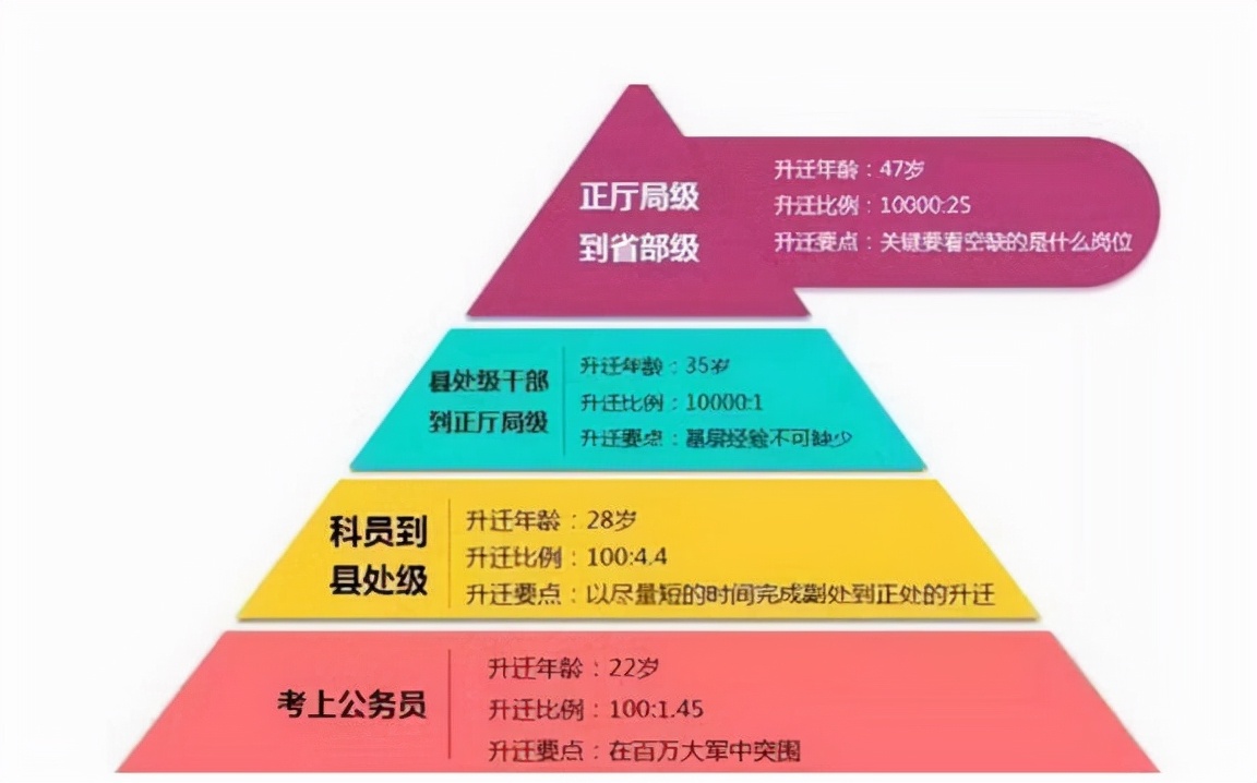 40年副科公务员晒退休金，看到实际薪资后，发现和想得有些不同