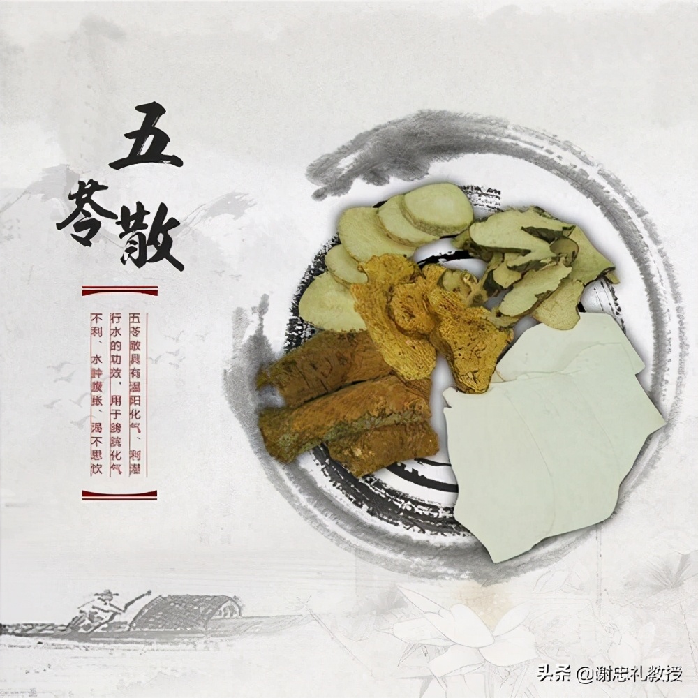 脾胃湿热吃什么中成药，10种健脾胃去湿热的中成药