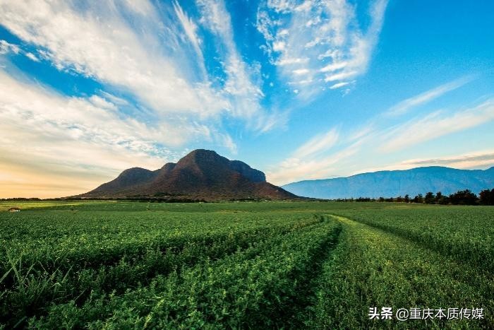 安利雅姿宏邦奇亚系列全新上市 植萃能量凝驻健康美肤