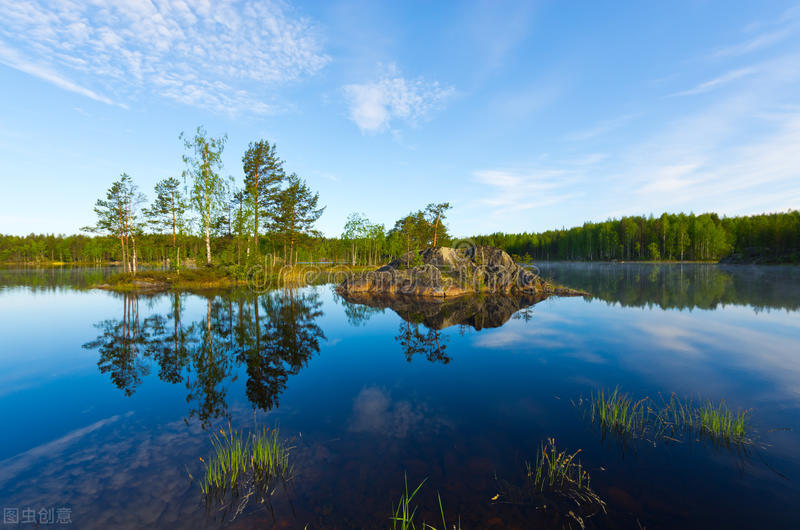 2020山东高考听力真题（40）