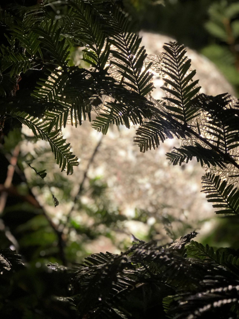 避暑计划：海子山避暑十二时辰