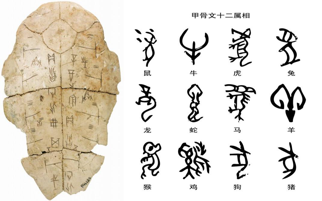 汉字主要起源于记事的象形性图画汉字七体,即:甲骨文,金文,篆书,隶书