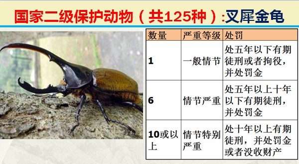 二级保护动物（国家最新125类二级野生保护名录）