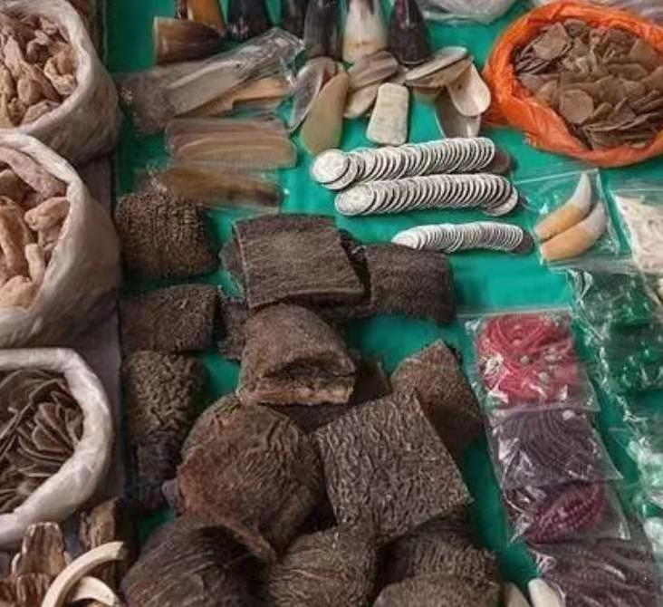 人造革是什么样子的（超全面珍稀皮革博览：33种罕见皮革材料图文集合）