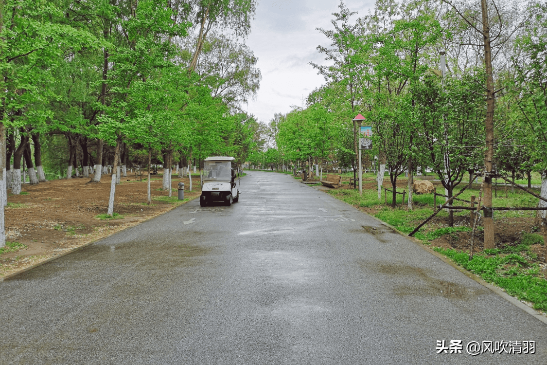 东北仅有的新一线城市，人口907万，城建好配套全适合居住生活