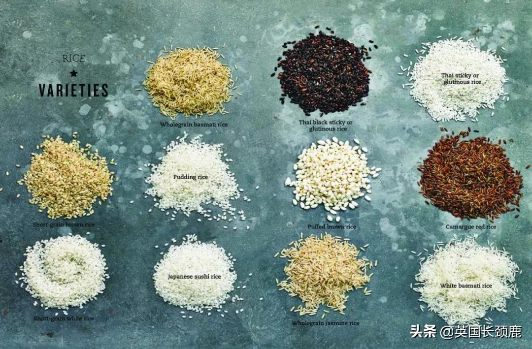 brown rice是什么米 -生活知识库-动动脑