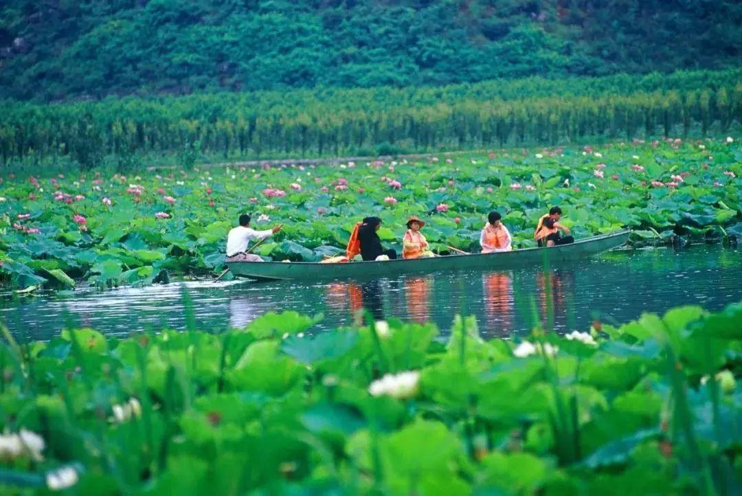 云南旅游适合几月份去（云南旅游适合什么季节去）-第3张图片-巴山号