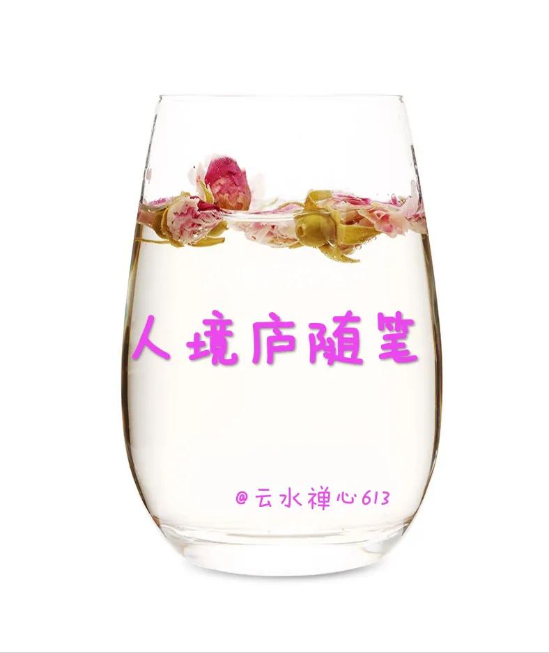 玫瑰的心情(看到玫瑰花心情好的句子)