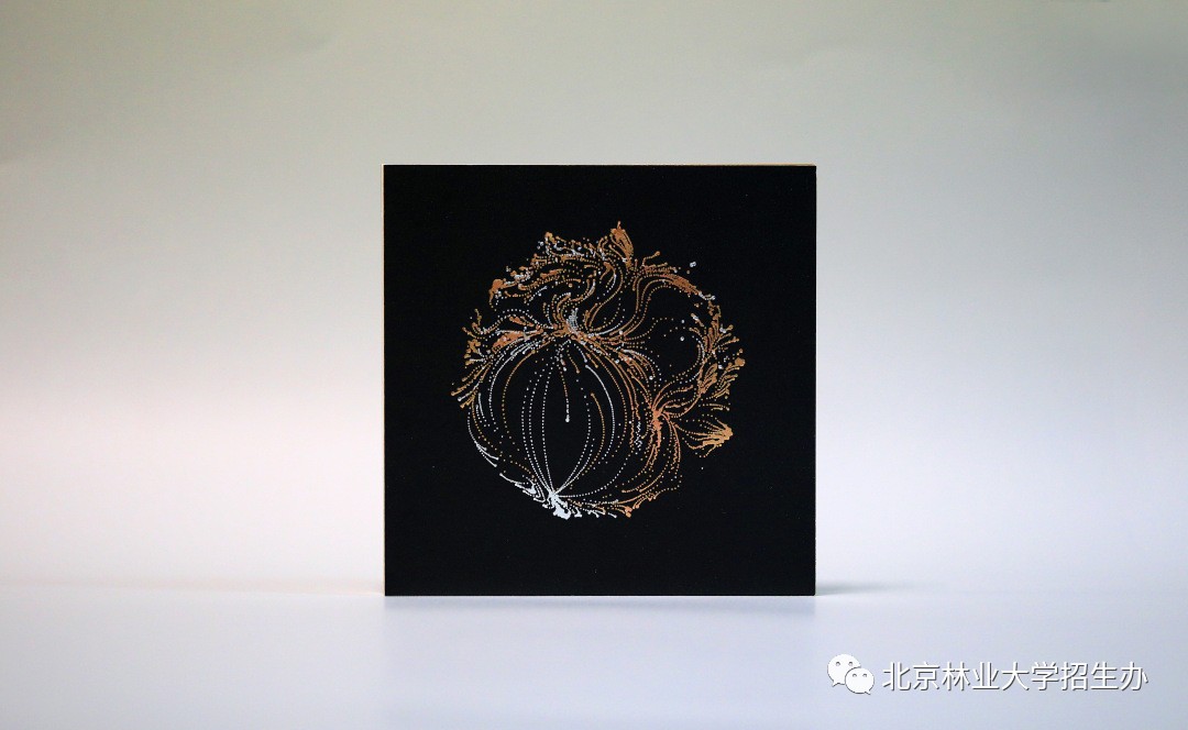 为了讲好八个字的校训，这所学校用了三年...