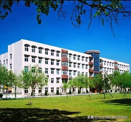 山东专升本各专业对应招考院校分析---计算机科学与技术