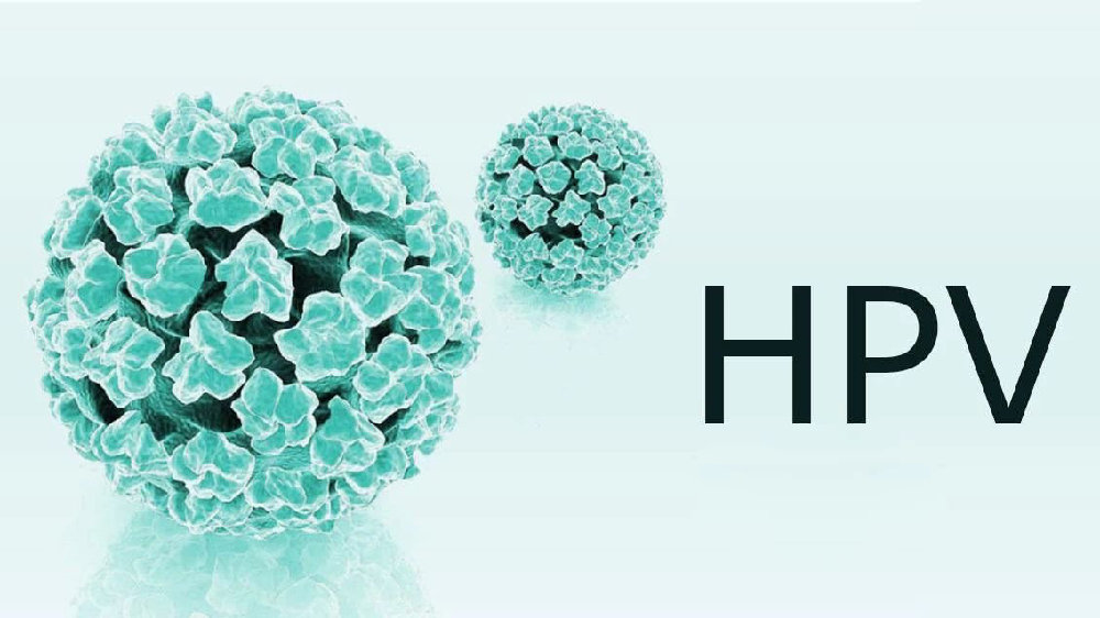 HPV是什么？为什么会感染？如何防治？疫苗怎么接种？一文全知道