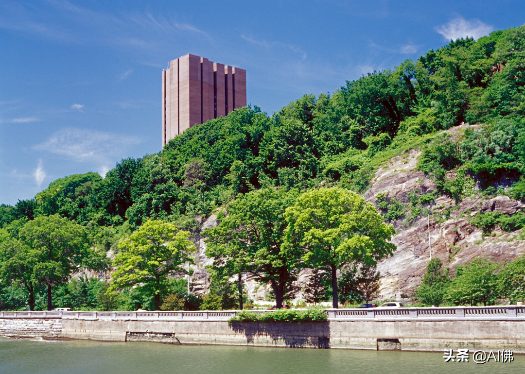 美国50所在大城市的最好大学