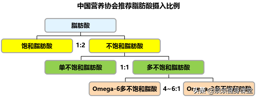论文级鱼油深度剖析，2021究极选购解读
