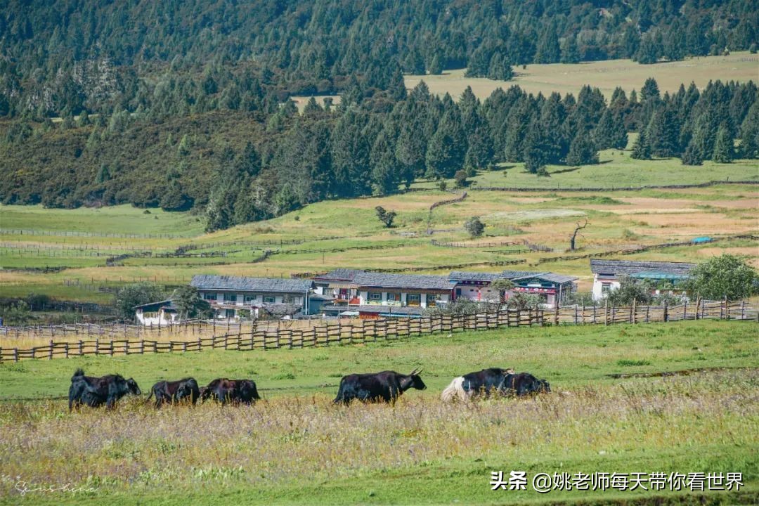 藏历新年，冬天的圣城