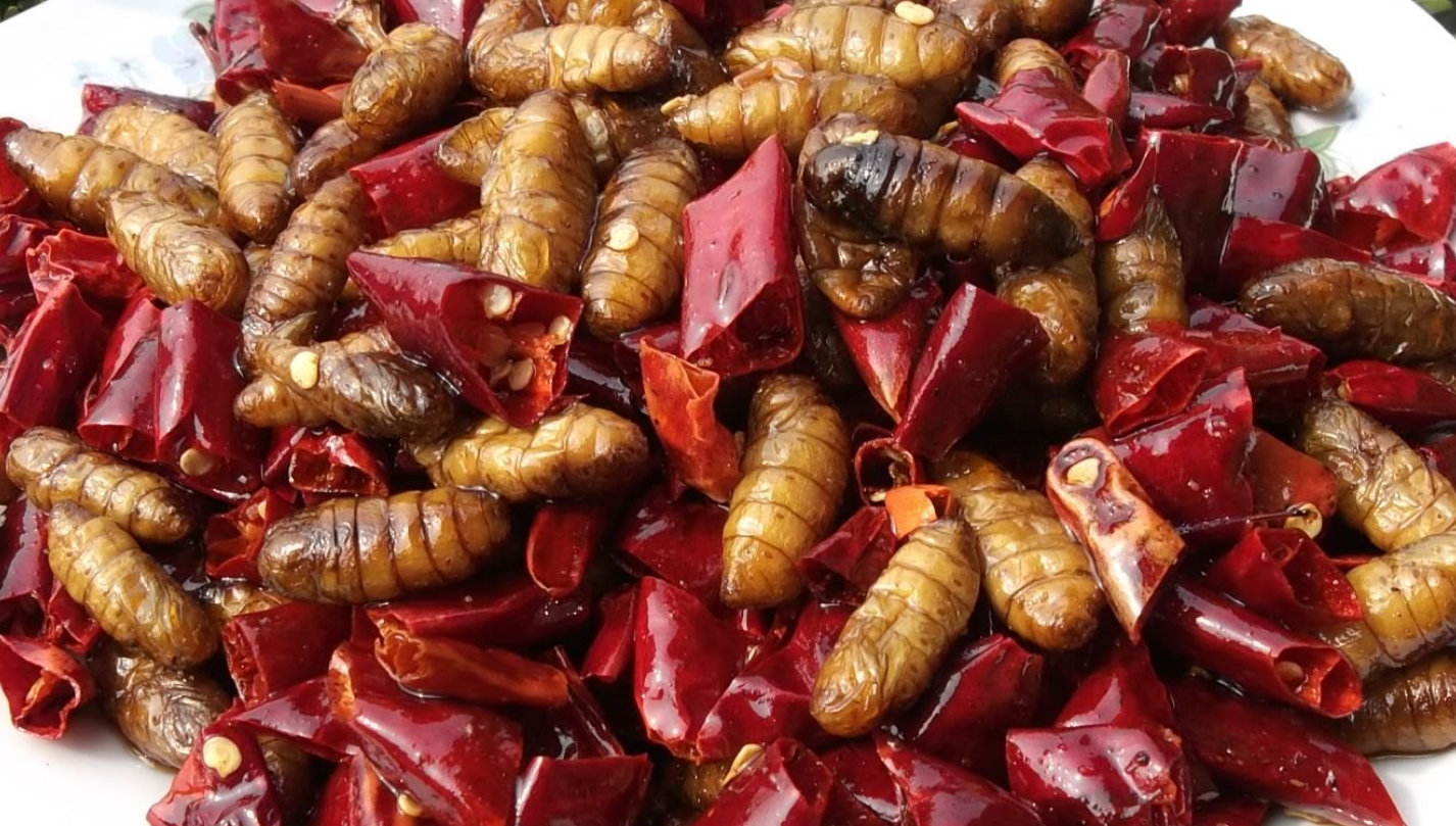蚕蛹怎么做好吃？蚕蛹5种最好吃的做法，简单美味又馋人-第7张图片