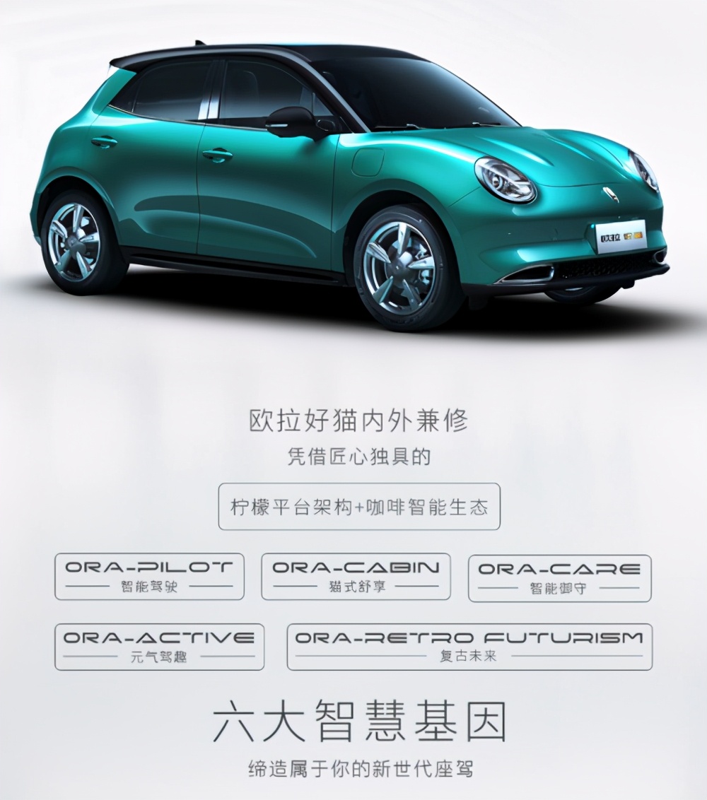 双11“CP礼”已就位！快上天猫买好猫