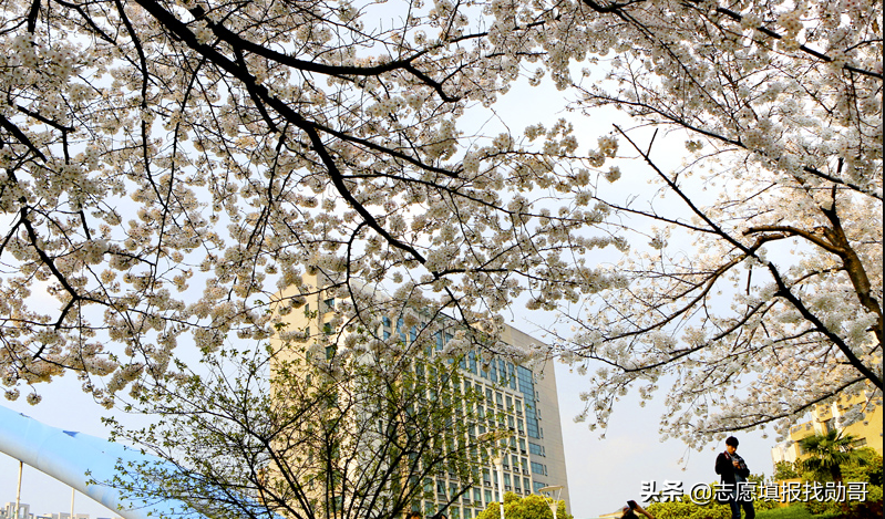 国内最厉害的工业大学，除了985、211，这所双非大学最强