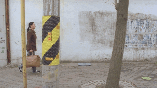 21歲時的張柏芝跟韓國大叔合作，用力認真的演出鑄就演技高光