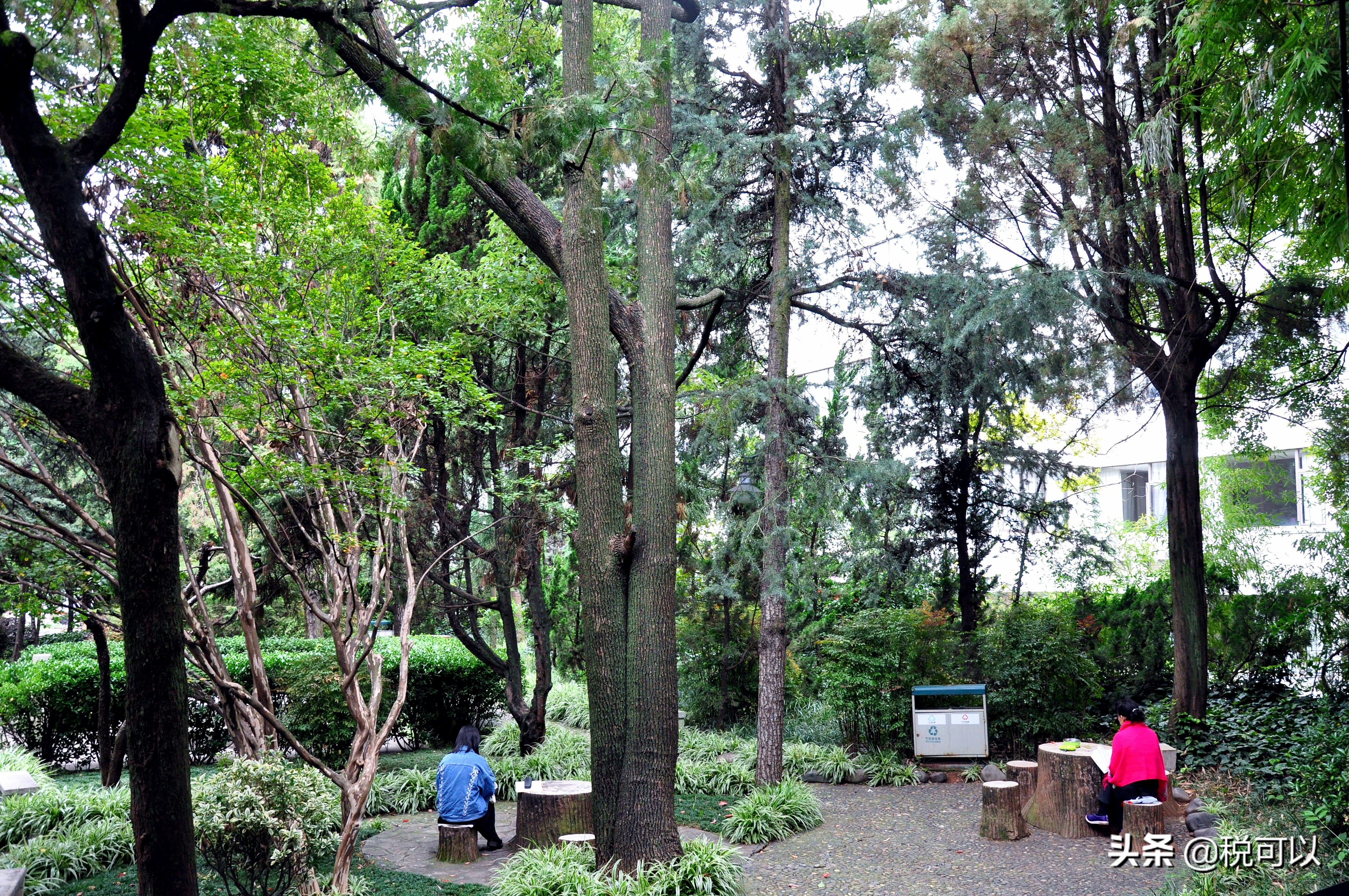 云南师范大学，和80年前的西南联大，到底啥关系？