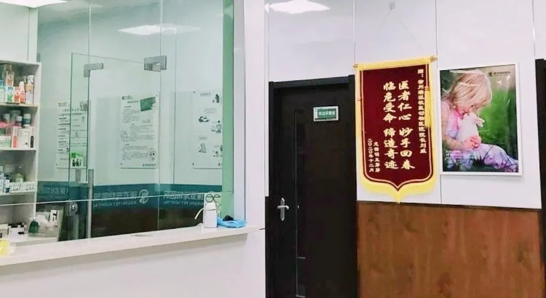 平凡而伟大：致敬最美兽医人