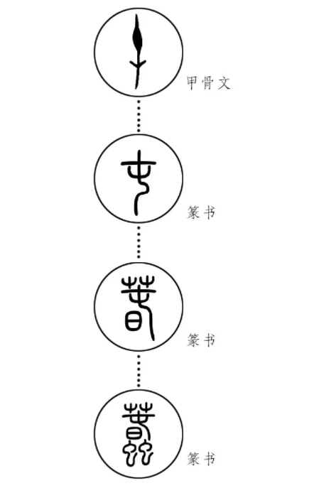 甲骨文中的蠢字被破译：三千年前的蠢字，字形简单的难以置信