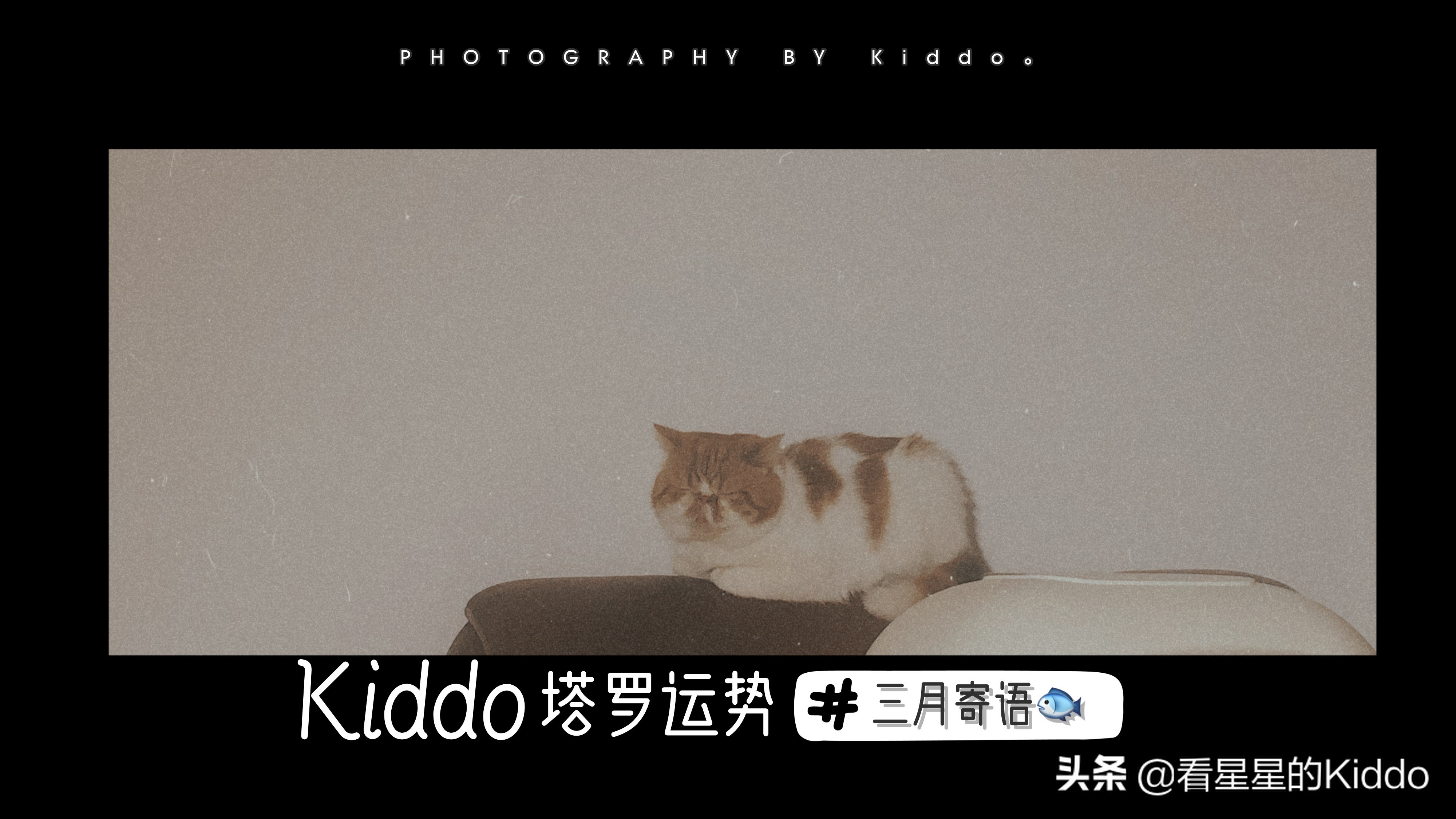 2020年3月寄语......