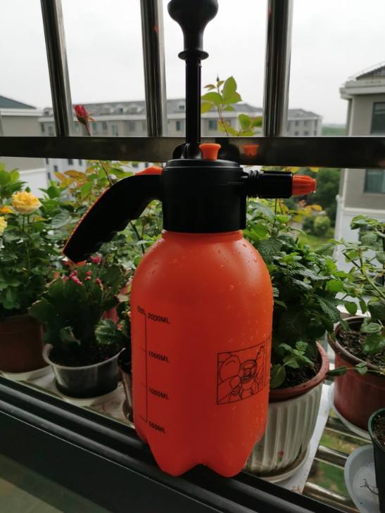 植物生长需要什么（4种养花常备的必需品介绍）