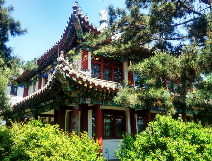 北大名人“韦神”年薪被曝光，收入看似可观，却无车无房