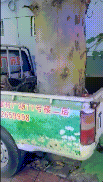 “假如你被关进精神病院，请用一句话证明自己不是”！神评太逗了