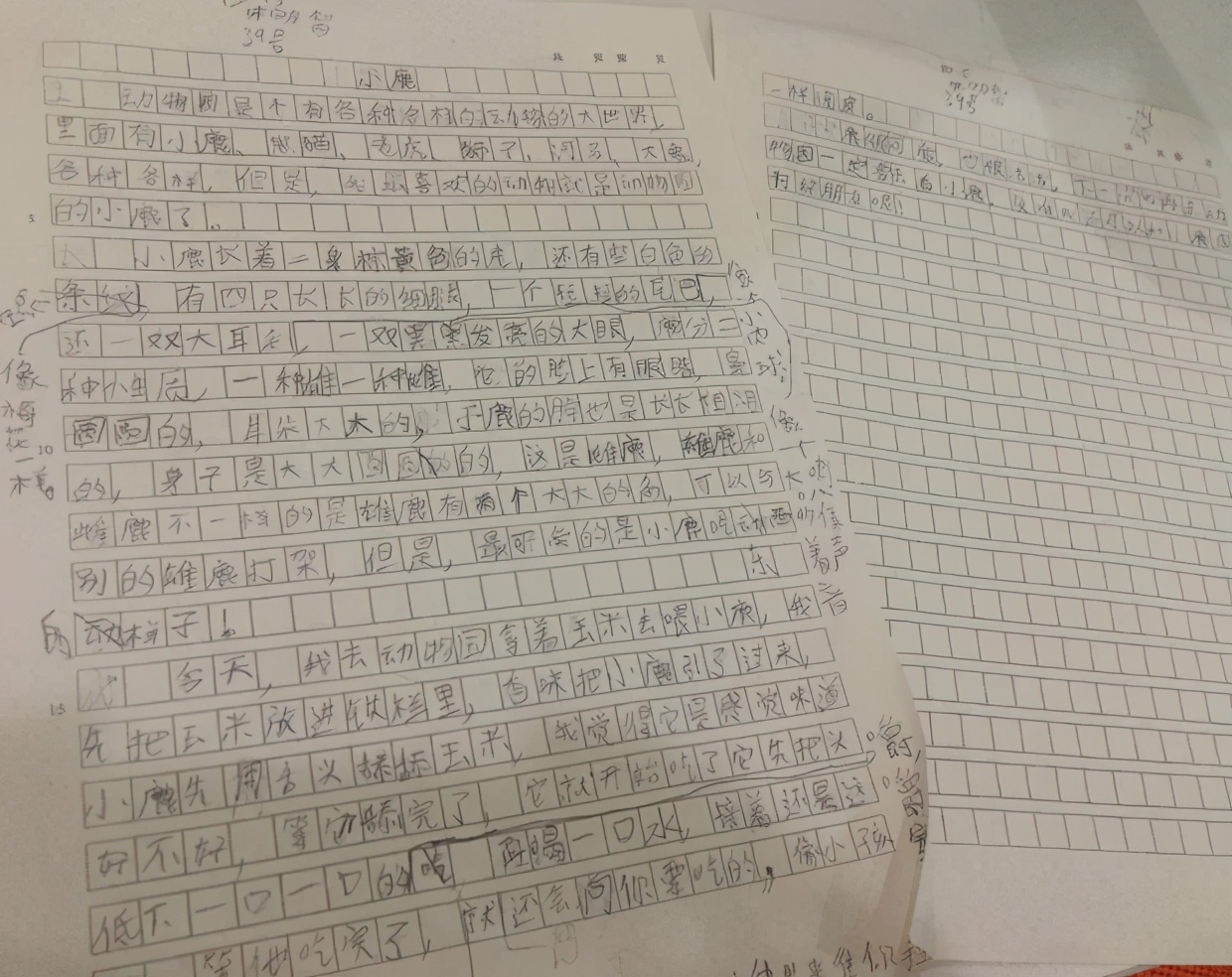 小学生作文《热死了》火了，有成为段子手的潜质，写得很搞笑