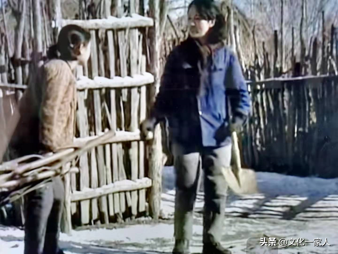 七嫂——世上最美的女人