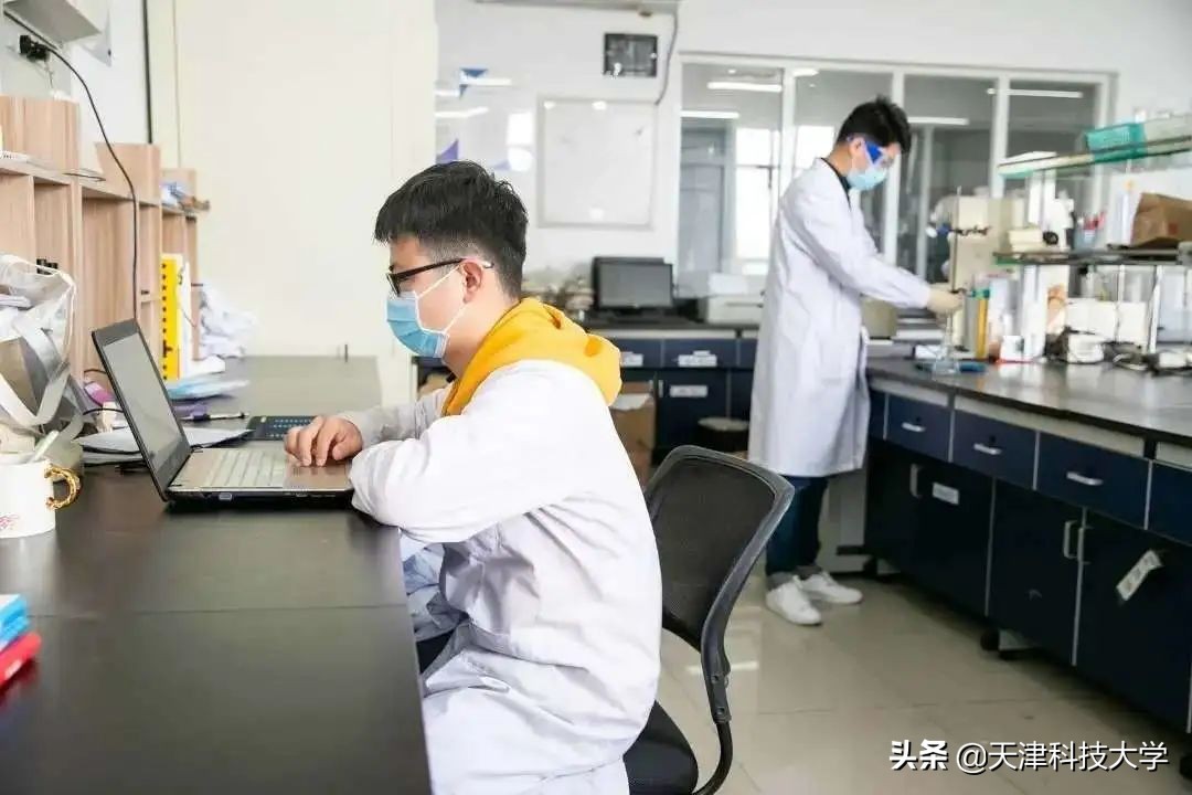 【毕业季】一枝一叶总关情，让我再次走近您（滨海校区）