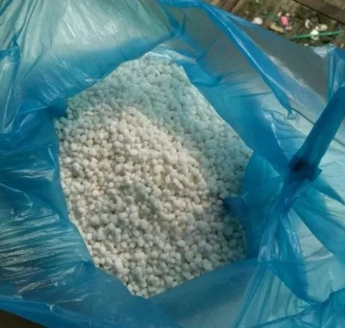 老花匠：绿萝最爱4种东西，喂了以后长得快，抽芽多，易疯长