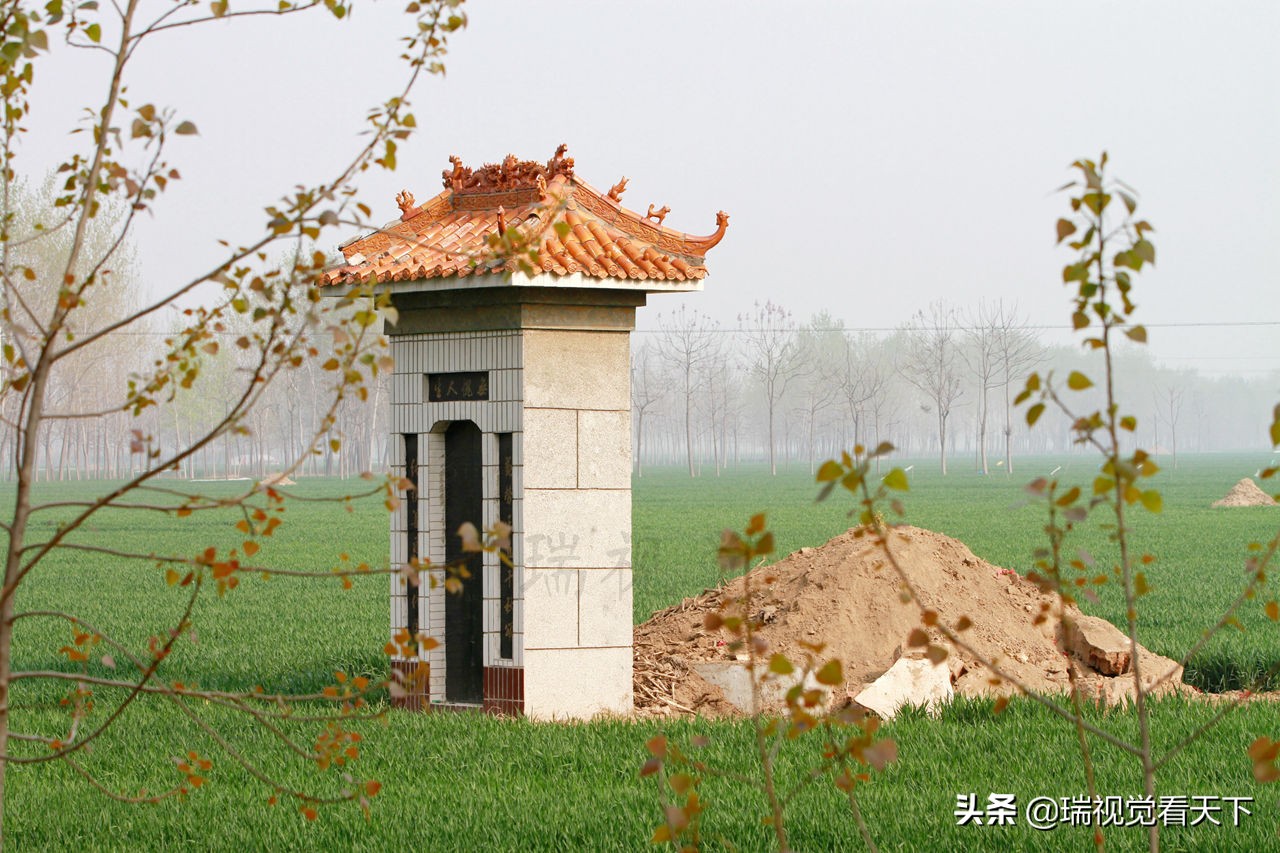 河南周口平坟,河南周口平坟事件始末