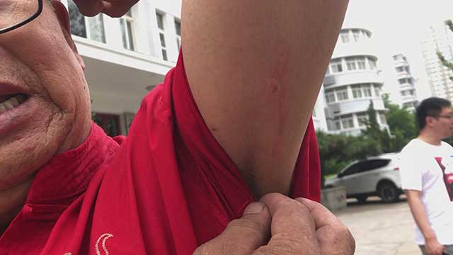 潘月孝告诉半岛记者,经过多年观察,他发现夏季是蜜蜂的繁殖旺季,蜜蜂