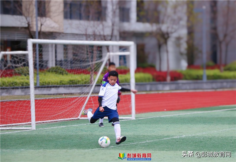 2021年云龙区“区长杯”校园足球联赛圆满收官