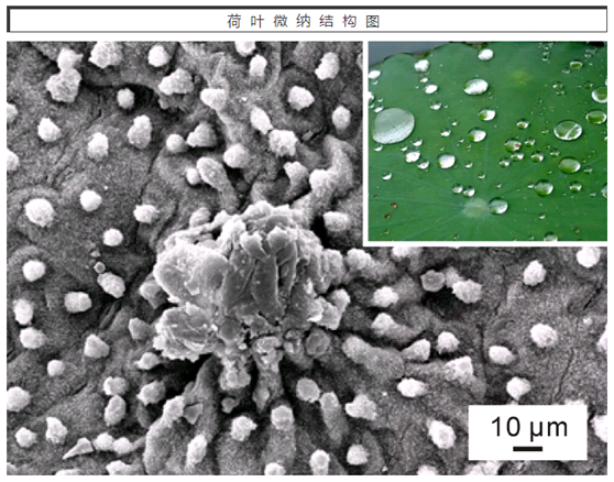 陕西85后博士：以第一作者发表15篇SCI论文，申请5项国家发明专利！