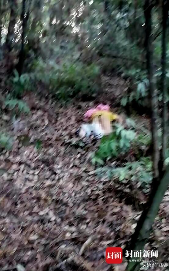 长沙8岁女童在树林中遇害：遗体和遗物不在一起，目击者称女孩曾与陌生男子交谈，系家中幼女独自骑车外出
