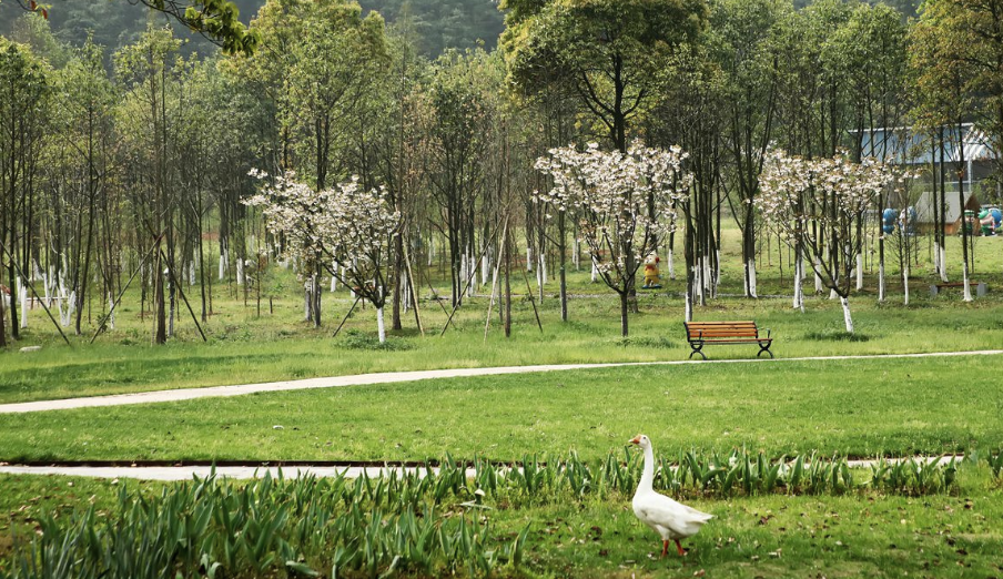 扎心了！今年这所大学“爆冷”，录取线仅150分，竟还缺额1652人