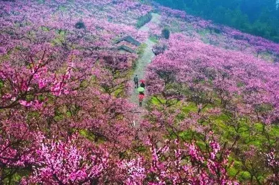 湖南隐匿的绝美山川古村，宁静又深远，三四月去正好！