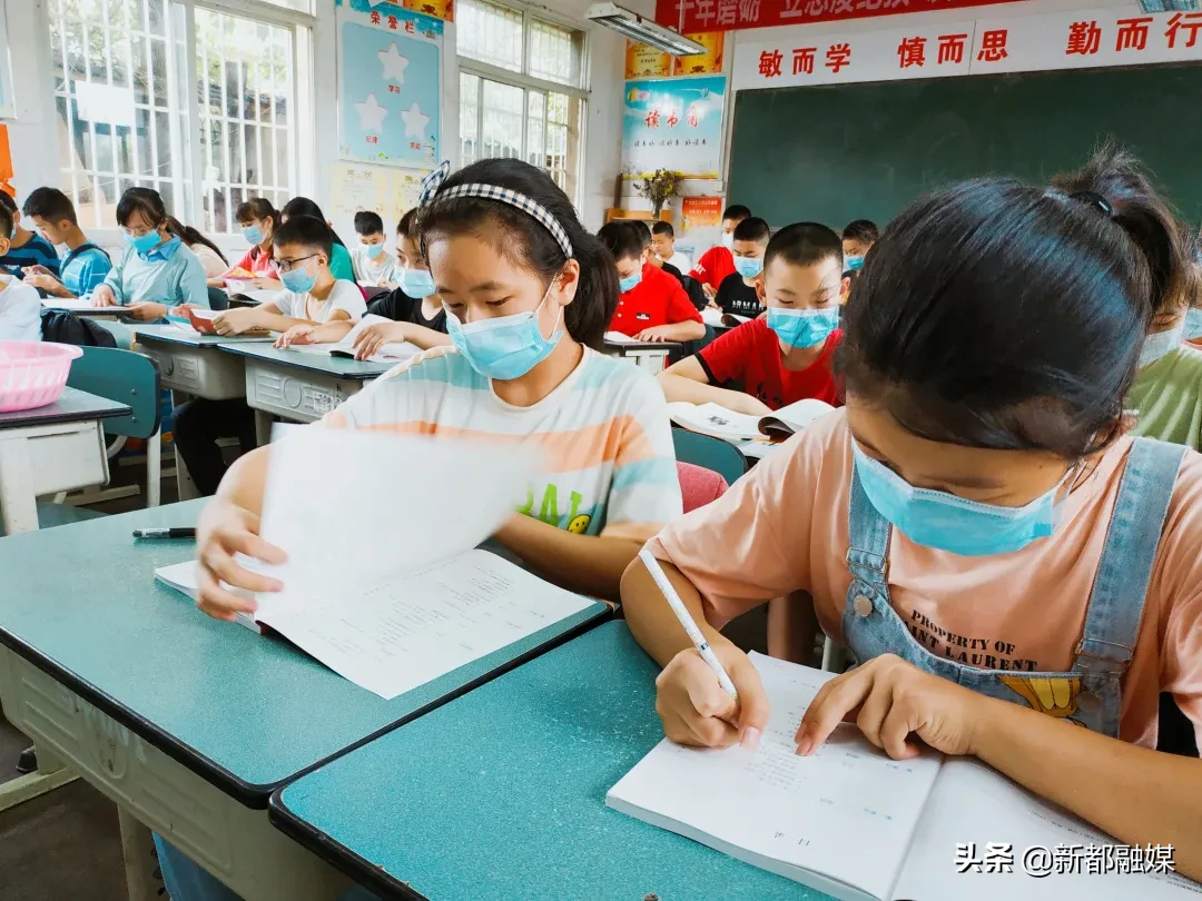 开学了，新都区47所学校风采展示