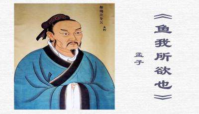 中考冲刺：鱼的生态与生物学特征解析
