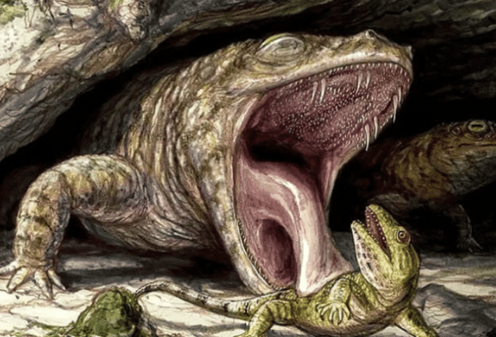 史前霸王蝾螈是什么动物(恐龙并没有称霸地球？在远古的恐龙时代，竟然有动物以恐龙为食)