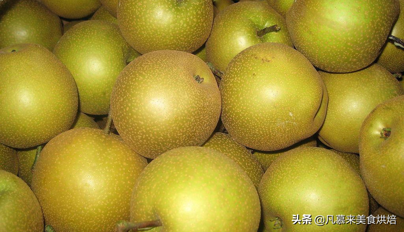 苹果梨图片（盘点全国最好吃的50种梨快收藏）